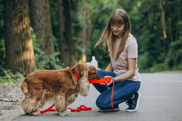 Pet walker having a stroll with cocker spaniel