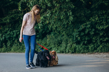 Pet walker having a stroll with cocker spaniel