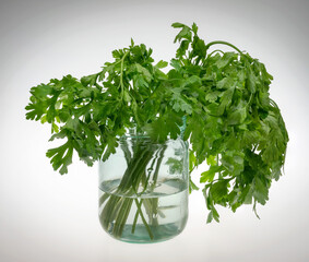 Bunch of parsley in a glass transparent bottle with water on a light background