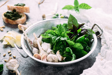 Ingredients for pesto sauce on a gray background. Basil, garlic, parmesan, pine nuts