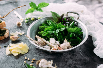 Ingredients for pesto sauce on a gray background. Basil, garlic, parmesan, pine nuts