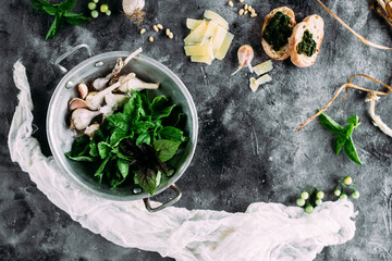 Ingredients for pesto sauce on a gray background. Basil, garlic, parmesan, pine nuts