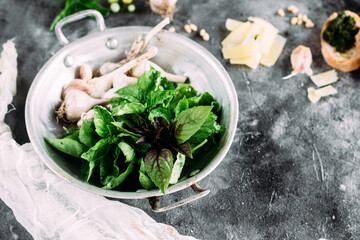 Ingredients for pesto sauce on a gray background. Basil, garlic, parmesan, pine nuts
