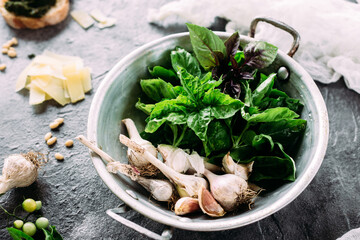 Ingredients for pesto sauce on a gray background. Basil, garlic, parmesan, pine nuts