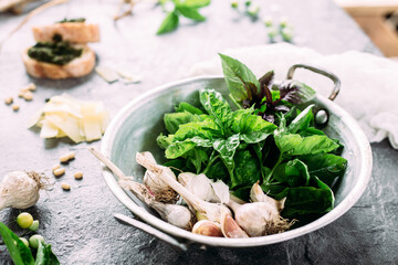 Ingredients for pesto sauce on a gray background. Basil, garlic, parmesan, pine nuts