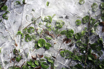 frozen puddle background, winter abstract seasonal ice