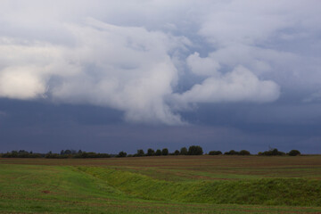 Fototapeta premium Countryside landscape with dark dramatic sky. Rural fields with green agricultural plants.