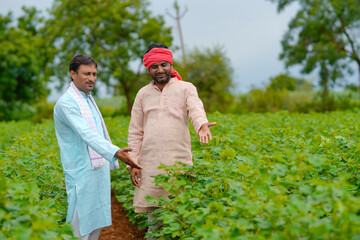 Two indian farmers talking at cotton agriculture field.