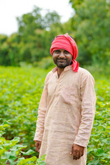 Young indian farmer standing in cotton agriculture field.