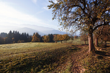 Fototapeta premium beautiful mountain landscape