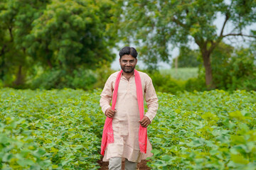Naklejka na ściany i meble Young indian farmer standing in cotton agriculture field.
