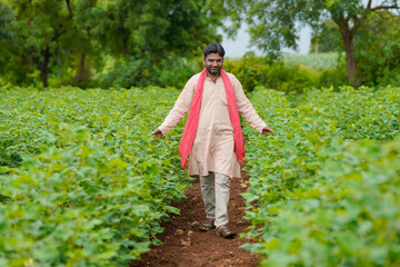Young indian farmer standing in cotton agriculture field. - obrazy, fototapety, plakaty