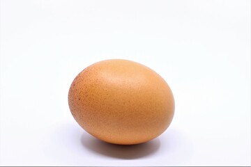 egg on white background