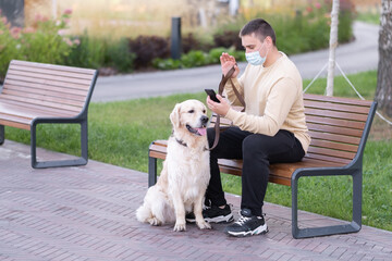 A man sits in a mask from a coronavirus in a park with a dog and looks at the phone. The golden retriever walks with its owner on a sunny day.