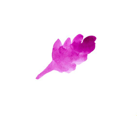 purple watercolor autumn leaf, loose, abstract