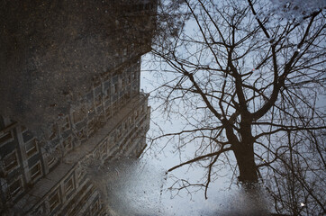 Reflection of a building and tree in a puddle on the asphalt after a rain. Abstract photography