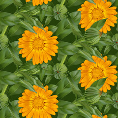 Orange marigold flowers pattern