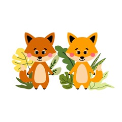 Vector foxes illustration.