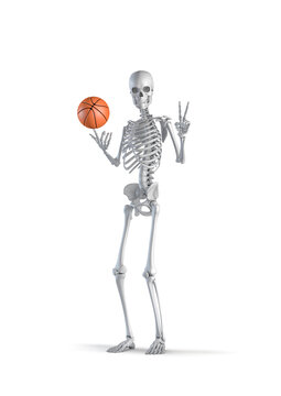 Basketball player skeleton - 3D illustration of male human skeleton figure with basketball showing victory hand sign isolated on white studio background