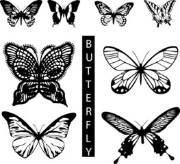 set of butterflies