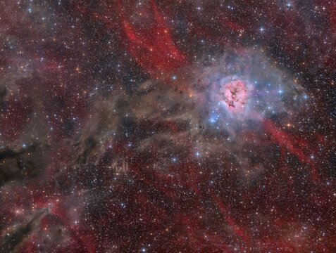 The Cocoon nebula or Sh2-125 in the constellation Cygnus