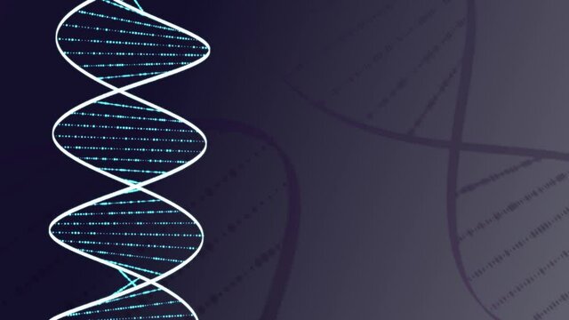 DNA Double Helix Rotating with copy space.