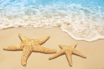 Fototapeta na wymiar Beautiful waves and sea stars on sandy beach