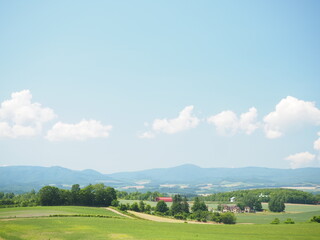 美瑛の美しい初夏の田園風景