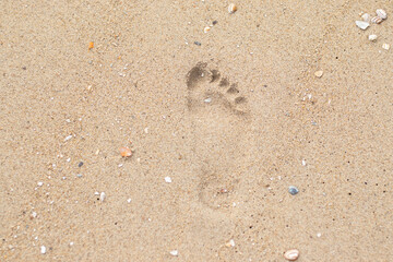 A fresh foot print in the sand along the Dutch coast (Kijkduin, The Hague, The Netherlands)