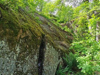 A boulder fence with trees growing on it in the rocky natural park of Monrepos in the city of Vyborg on a clear summer day.