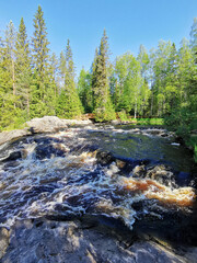 View of the bubbling waterfall with brown water on the Tokhmayoki River in Karelia from the ecological trail