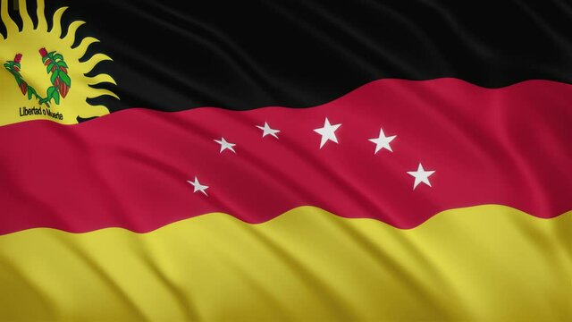 Miranda - Waving Flag Video Background
