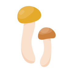 Small boletus mushroom in flat style. Hand drawn vector illustration of edible wild forest mushroom. Autumn symbol, organic food icon. Isolated element for design