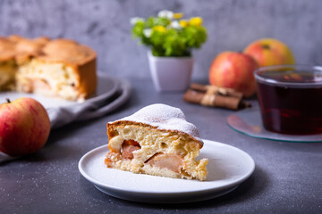 Apple pie Charlotte sprinkled with powdered sugar. A traditional biscuit cake with apples and cinnamon. Close-up.