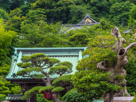 Famous Hase Dera Temple In Kamakura Japan - TOKYO / JAPAN - JUNE 12, 2018