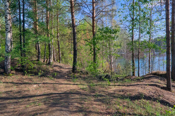 Obraz premium Picturesque summer landscape by the forest lake.