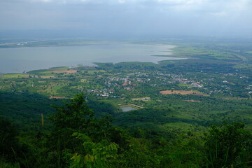 Naklejka premium Beautiful, fertile forest