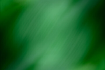 Abstract glowing light on a green blur background texture.