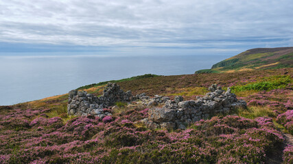 Fototapeta na wymiar Badbea Highland Clearances village ruins on the Caithness coast in the Highlands