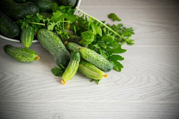 organic cucumbers with herbs on a wooden table