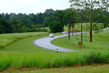 Beautiful and fertile nature and forests