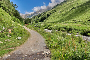 Fototapeta na wymiar road in the mountains between green alpine meadows and a mountain river. snow-capped mountain peaks