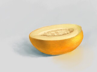 Drawing a beautiful and ripe melon for printing on paper and canvas for interior decoration and cards