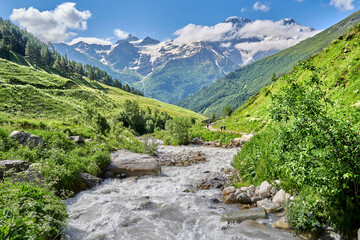 Fototapeta na wymiar road in the mountains between green alpine meadows and a mountain river. snow-capped mountain peaks