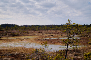 Scenic view of swamp at Valkmusa National Park