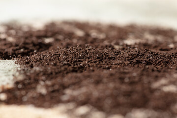 Moldy brown fungus on food. Fluffy spores mold as a background. Mold fungus. Shallow depth of field