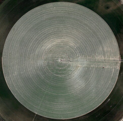 Center (Central) Pivot Irrigaton on Circular Fields Aerial Wiev in Colorado, USA