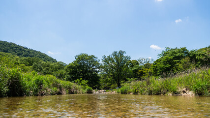 仁川　川　綺麗　兵庫