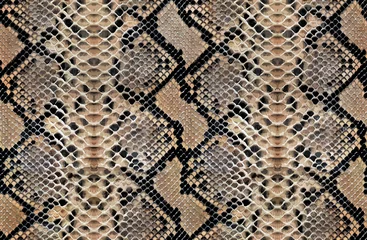 Wallpaper murals Animals skin Snake skin pattern animal leather design seamless elegance