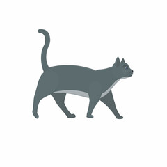 Cat. Pet cat, vector illustration